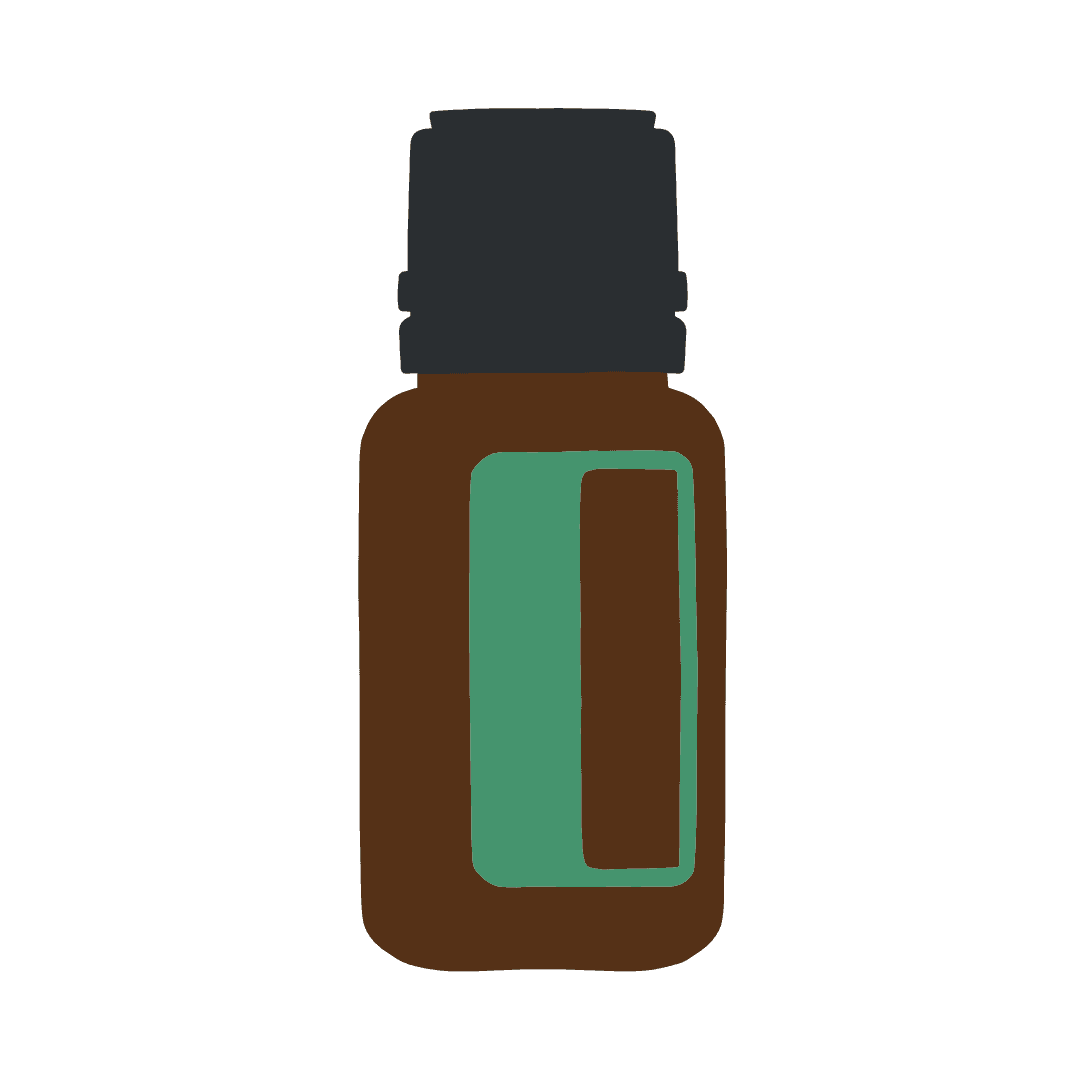 Basil - Базилик