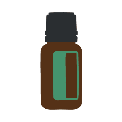 Coriander - Кориандр